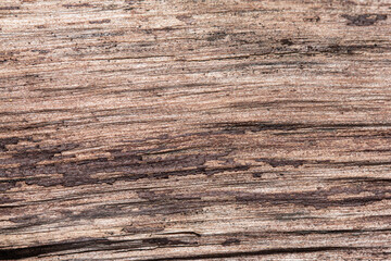 Reddish brown wood texture, natural abstract background