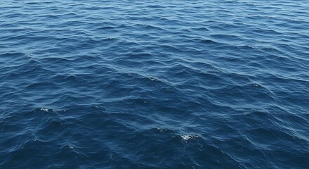 Obraz premium 紺碧の波紋、静かな水面