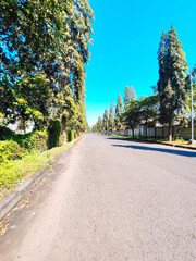 An Empty and Peaceful Road with Trees and a Wall