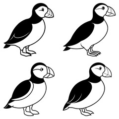 Obraz premium Illustration showing four puffin birds with black and white plumage in different poses on a white background