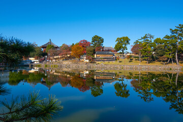 Fototapeta premium 奈良、奈良公園、紅葉、五重塔、歷史名勝、水、池塘、木、綠色、青空、秋、絶景、写真素材