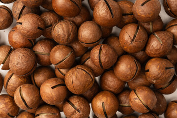 Macadamia nuts in a shell isolated on a white background.