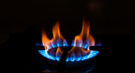 Burning Blue Gas Flame on Stove Top Against Dark Background
