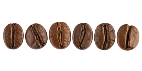 A row of six rich roasted coffee beans, presented on a transparent PNG background, perfect for International Coffee Day celebrations.