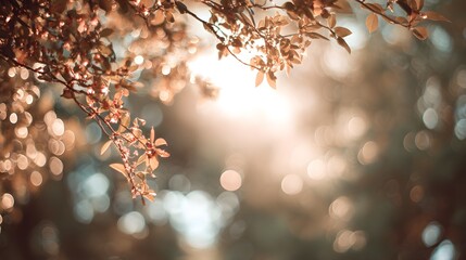 Bright sunlight bokeh on white background with soft warm halo effect 