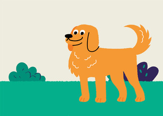 Illustration of a golden retriever. Cute. Pet. Beloved dog. Pet dog. Breeding. Family.