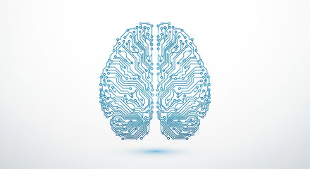 human brain isolated on white background