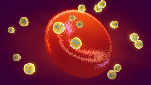 Good cholesterol or High-density lipoprotein particles (HDL) in the bloodstream. PCSK9 inhibitors are a novel treatments for high cholesterol and work in combination with statins
