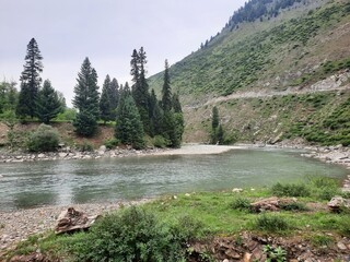 A breathtaking view of the charming village of Halmat nestled in the Neelum Valley of Kashmir. The lush green trees, towering mountains, and rich flora combine to form a scenic tableau.