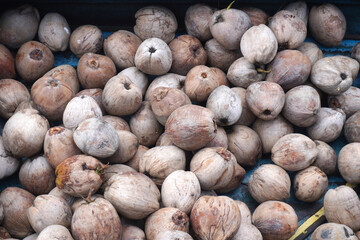 Fresh coconuts ready for market display, tropical healthy food concept
