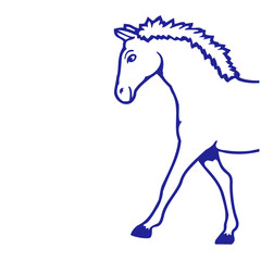 Half horse Front part Front half Front goes walks