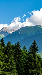 Fototapeta premium Mountain landscape with lush forest