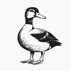 duck on white