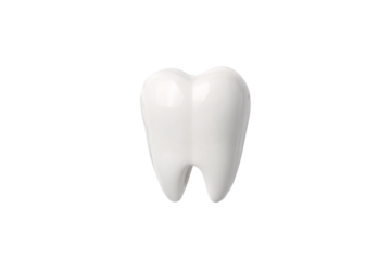 White tooth model with realistic crown and root structure in clean 3D design, isolated on a transparent background