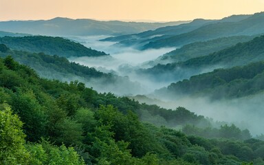 Naklejka premium Landscape view of forested hills covered in fog during early morning
