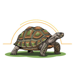A minimalist vector illustration of a tortoise with strong lines and abstract horizon, symbolizing its timeless journey and serene, majestic presence.