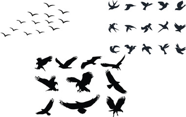 Silhouettes of people and birds in a black vector illustration set for sports and art design