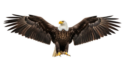 Fototapeta premium Bald eagle with outstretched wings in a dynamic pose on a transparent background, cutout PNG