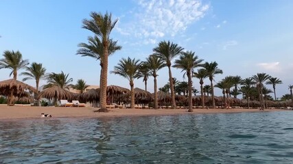 palm trees on the beach Beautiful sunrise over the sea.sunrise over calm sea, warm tone, peaceful beach scenery wall art ea, water, sky, ocean, sun, beach, nature, sunrise, landscape, clouds, wave, ev - Powered by Adobe