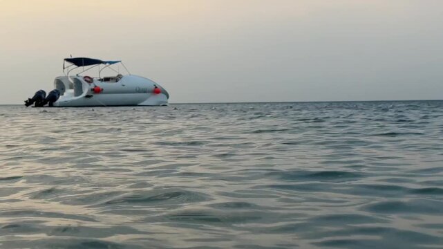 Cruise boat in the clear water near coral reef.  Red Sea, Egypt boat in the sea white  flat boat docked in blue water of Red Sea Cruise boat in the clear water near coral reef.