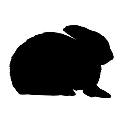Arctic hare silhouette. Realistic vector animal