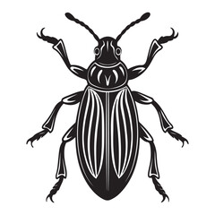 A Detailed Macro Shot of a Weevil, a Common Pantry Pest with a Unique Elongated Snout, Crawling on a Grain of Wheat