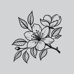 Camellia Abstract Botanical Line Art Drawings