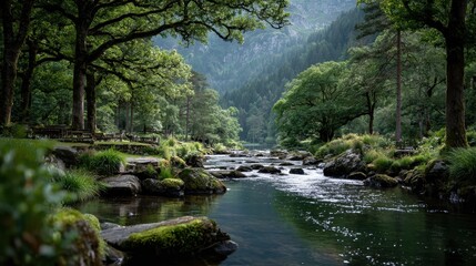 Obraz premium Serene River Flowing Through Lush Green Forest Landscape in Wales
