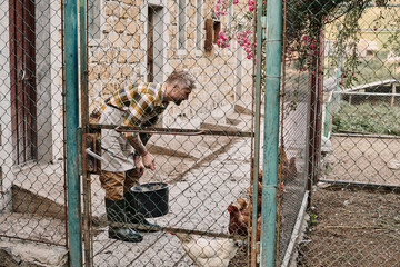 Modern farmer tending to chickens in a picturesque rural setting near his farmhouse