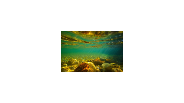 Underwater Scene Capturing the **Reflections** of Sunlight and the Textured Beauty of River Rocks in Clear Waters