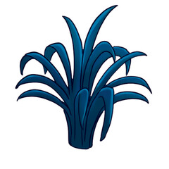 lily isolated on white background