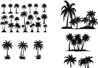 Palm trees silhouettes set with tropical nature illustration © Hina