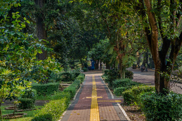 Ragunan Zoo, Jakarta - June 12, 2025: Beautifully lit park pathway winds through a corridor of trees, with a bright yellow line guiding the way and creating a serene, inviting atmosphere.