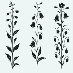Flower illustration, Campanula Doodle Set. Vector bellflower plants. Line art flowers and Buds Drawing Outline stems, leaves, grasses, bouquet. Elegant Floral Collection Hand Drawn Botanical. 