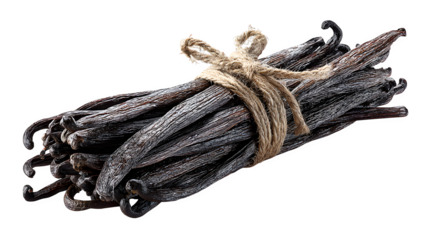 dried black vanilla beans isolated on white background, HD realistic