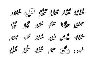 Black botanical branch and swirl decorative elements leaves swirls