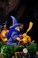 image of sly witch sitting on tree stump covered with moss and jack o lanterns in background and...
