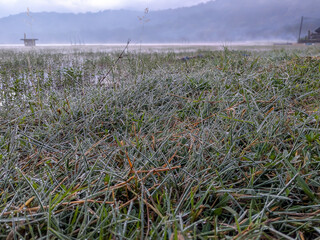 morning dew that sticks to the grass