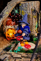 witch's cozy hideout where she brews a potion for her friends' Halloween treat on All Saints Day,...