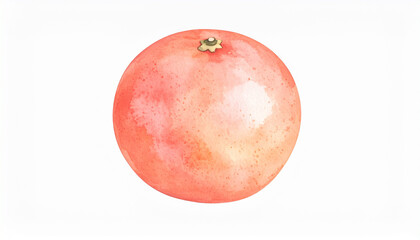 Fototapeta premium 水彩画のグレープフルーツ – 柔らかな自然色で描かれた果物イラスト Watercolor Illustration of Grapefruit – Soft Natural Colors