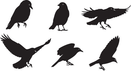 Fototapeta premium Silhouettes of Various Birds in Flight and Perched Positions avian wildlife