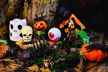 Halloween story with an eye on a tree stump, a black hand and bugs in All Saints Day in a dark...