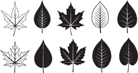 Collection of Black and White Leaf Silhouettes and Line Art Designs leaves autumn