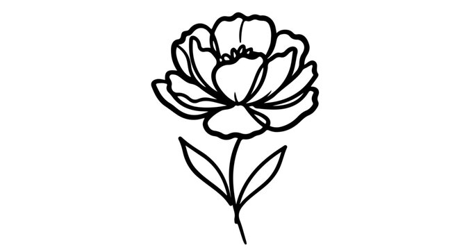 Download beautiful flower illustration vector for free floral design element and decoration use case