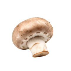 Studio Shot of a Single Brown Mushroom Against Transparent Background for Culinary Use