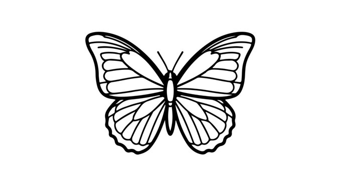 Butterfly outline vector drawing for coloring book page or print, butterfly clip art insect design element