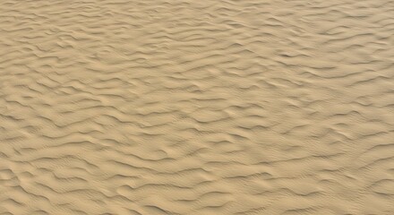 Obraz premium Desert Sand Dunes: A Textural Tapestry of Shifting Sands