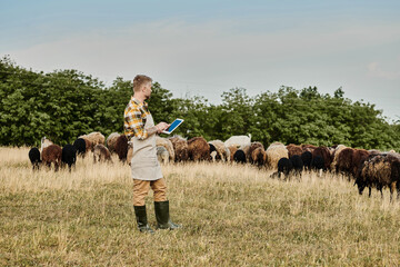 Good looking farmer monitors sheep in a serene countryside setting during golden hour