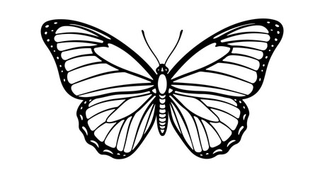 Obraz premium Butterfly outline drawing vector illustration for coloring book pages and design projects isolated on white