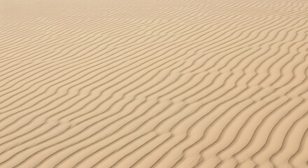 Obraz premium Rippled Sand Dunes Texture Background with Natural Light and Shadow Patterns